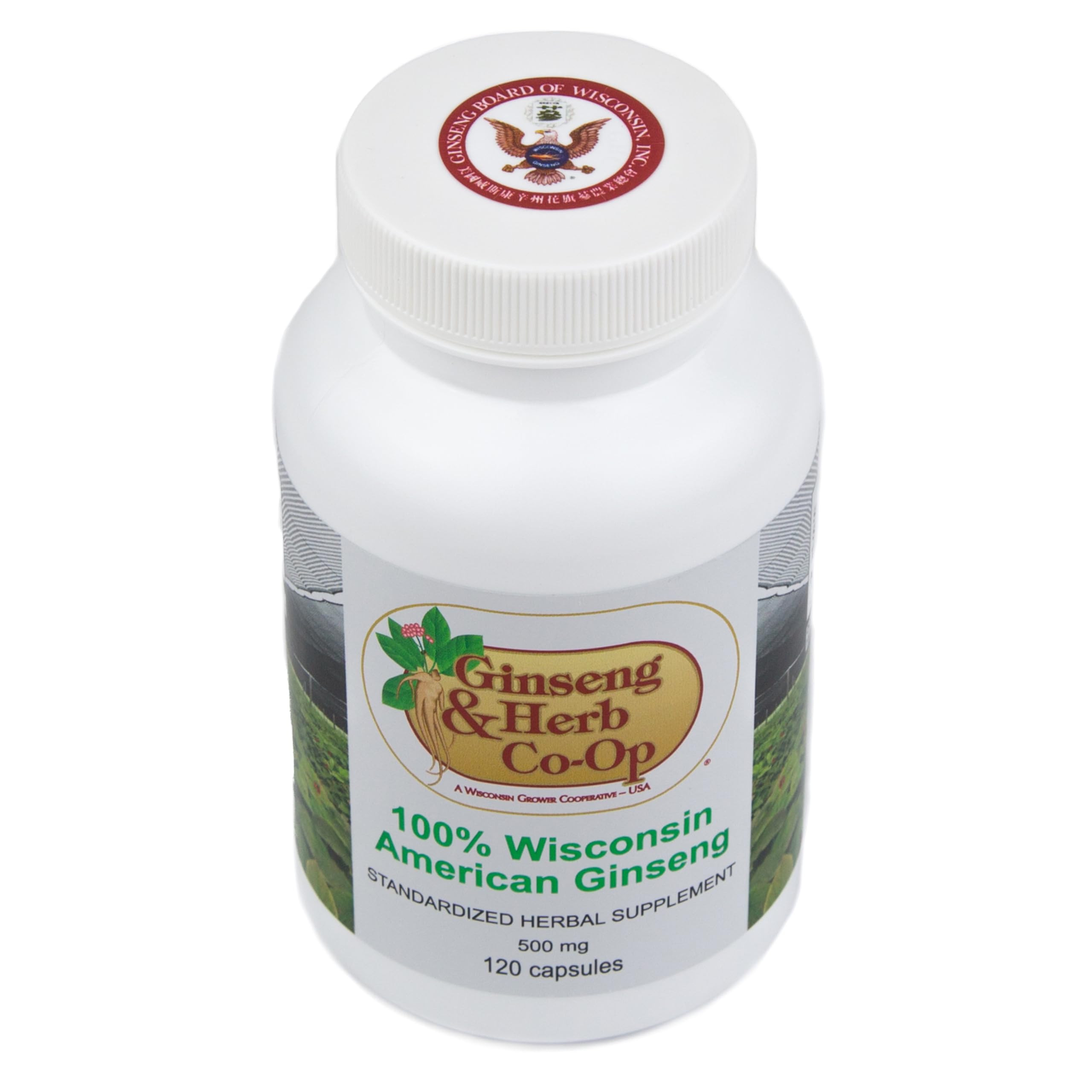 Ginseng & Herb Co-Op capsules midview—ground Panax quinquefolius in a clean bottle