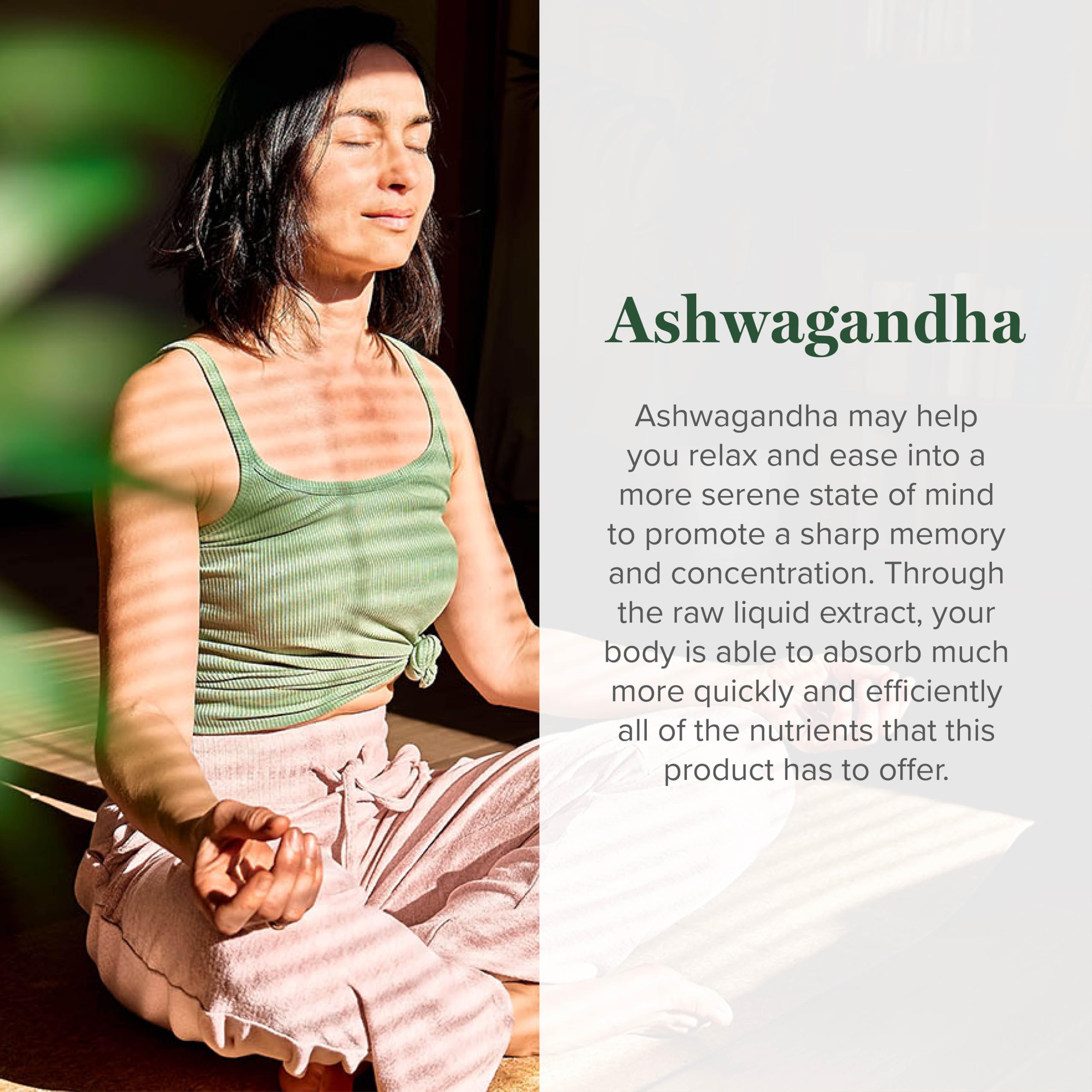 Global Healing Center Ashwagandha Drops in-use shot suggesting daily routine