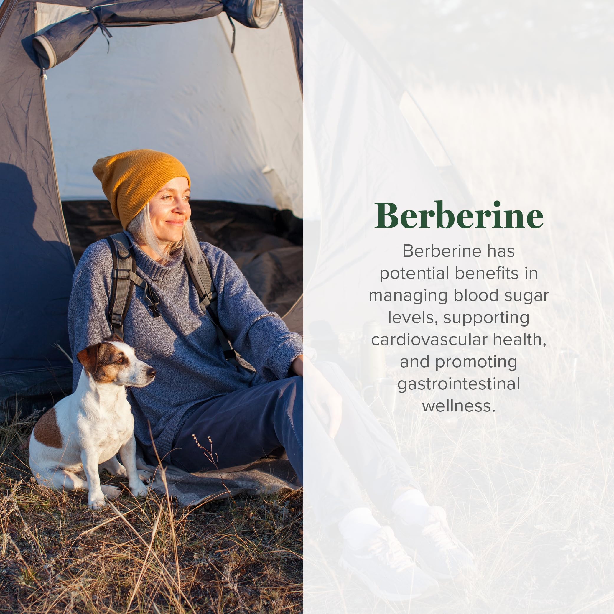 Global Healing Center berberine capsules close-up showing compact daily-use size.