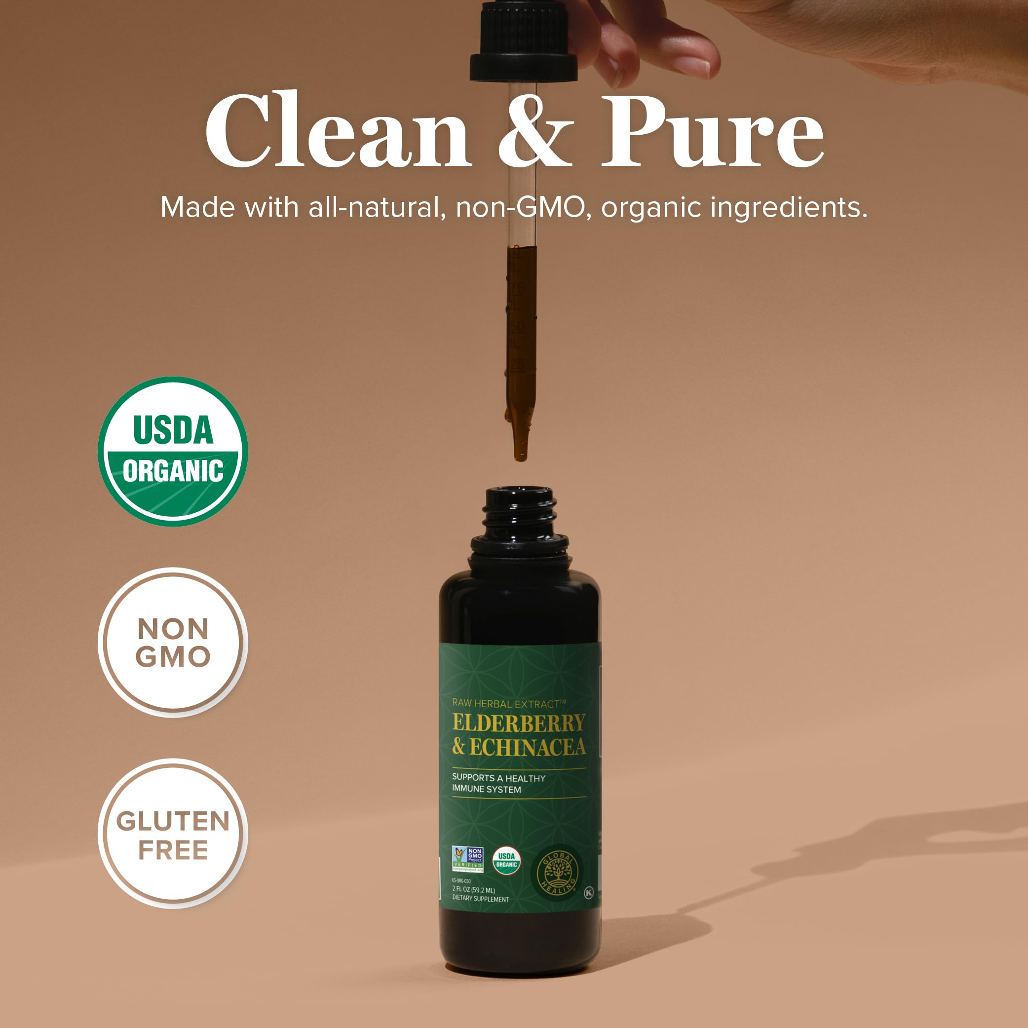 Global Healing Center elderberry berries close-up signaling antioxidant-rich formula.