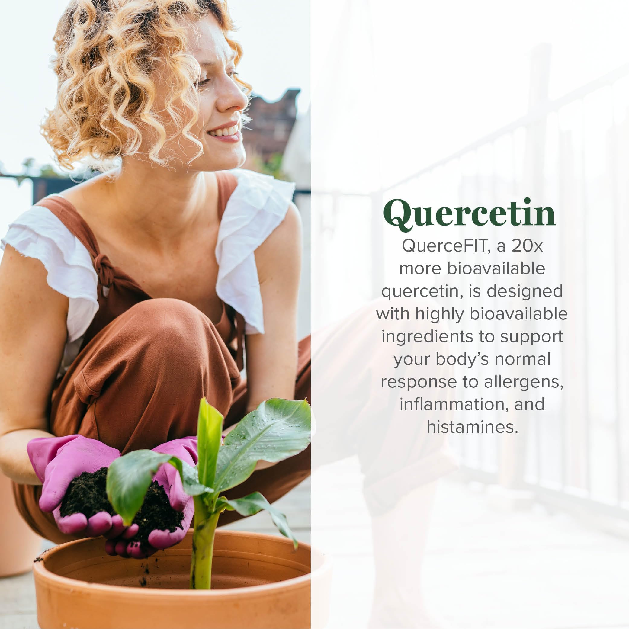 QuerceFIT phytosome bottle pour showing high absorption potential