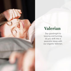 Global Healing Center valerian root extract label closeup with details