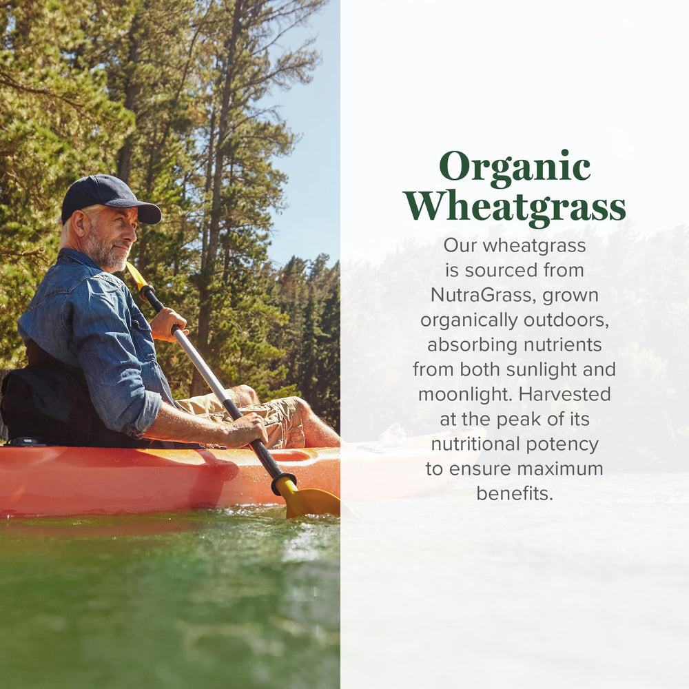 Global Healing Center wheatgrass powder label up close emphasizes organic, non-GMO origin.
