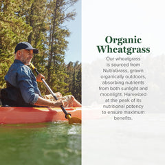 Global Healing Center wheatgrass powder label up close emphasizes organic, non-GMO origin.