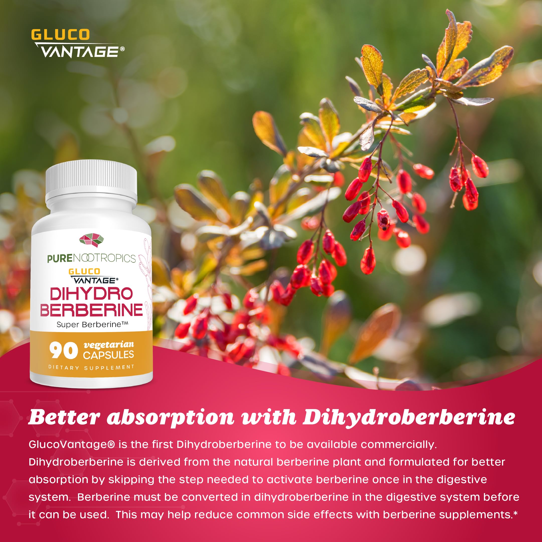 GlucoVantage label mockup suggesting improved absorption.