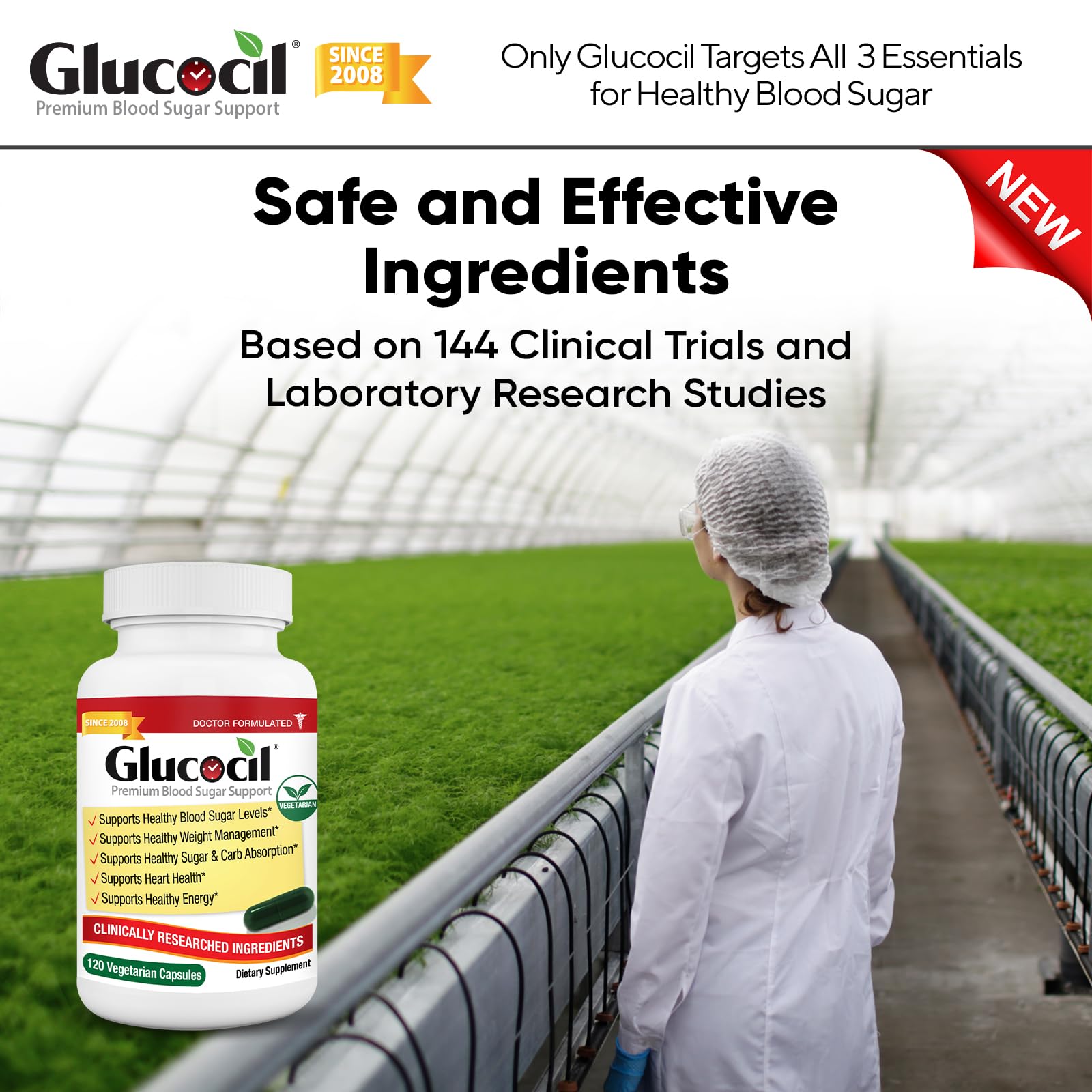 Glucocil daily dosing routine shown with meals