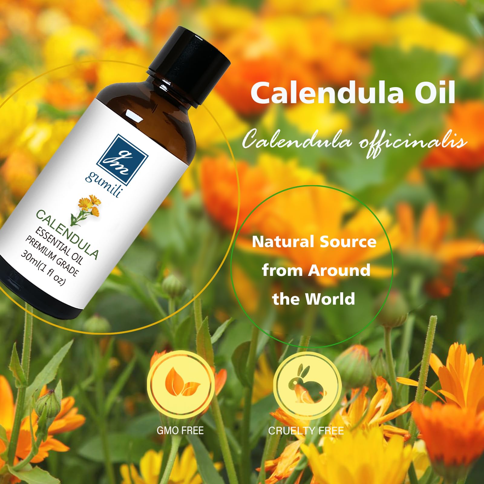 Calendula oil used in soap crafting projects by GM Gumili