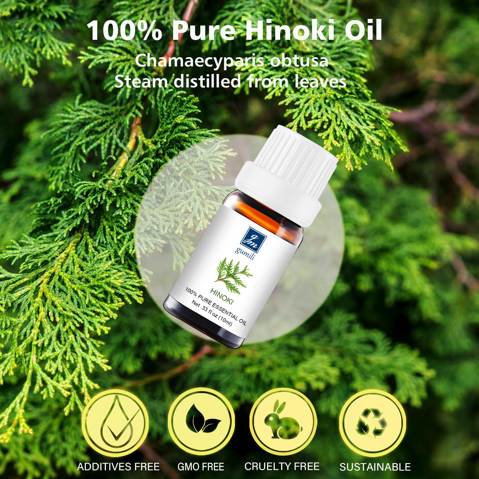 GM Gumili Hinoki hair care blend ready for scalp massage.