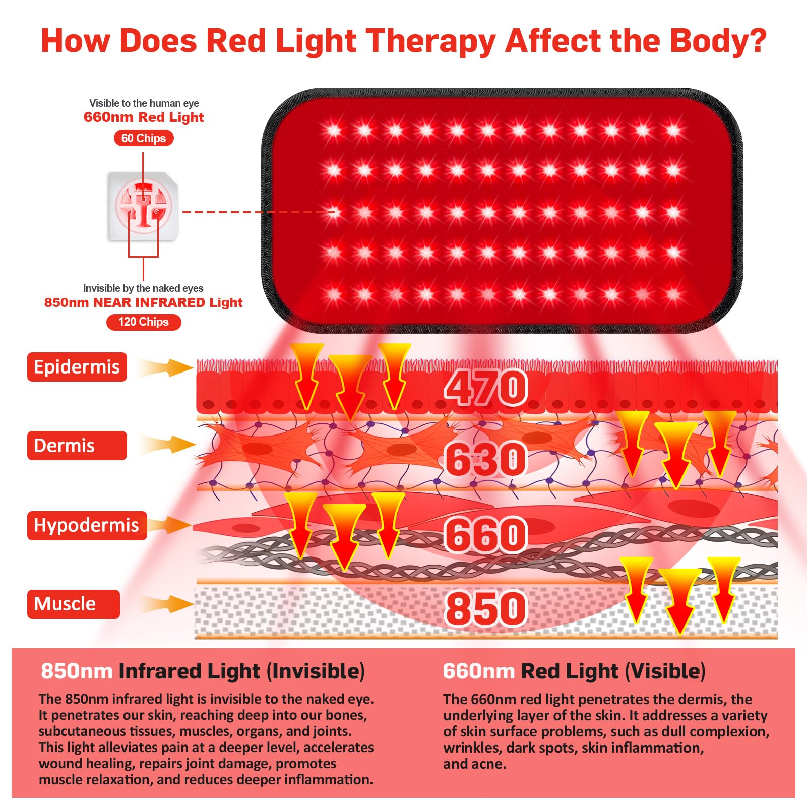 GMOWNW red light therapy belt wearable fit for neck, shoulders, and back