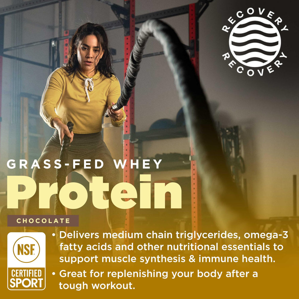 Smooth chocolate shake made with Gnarly protein powder in a glass