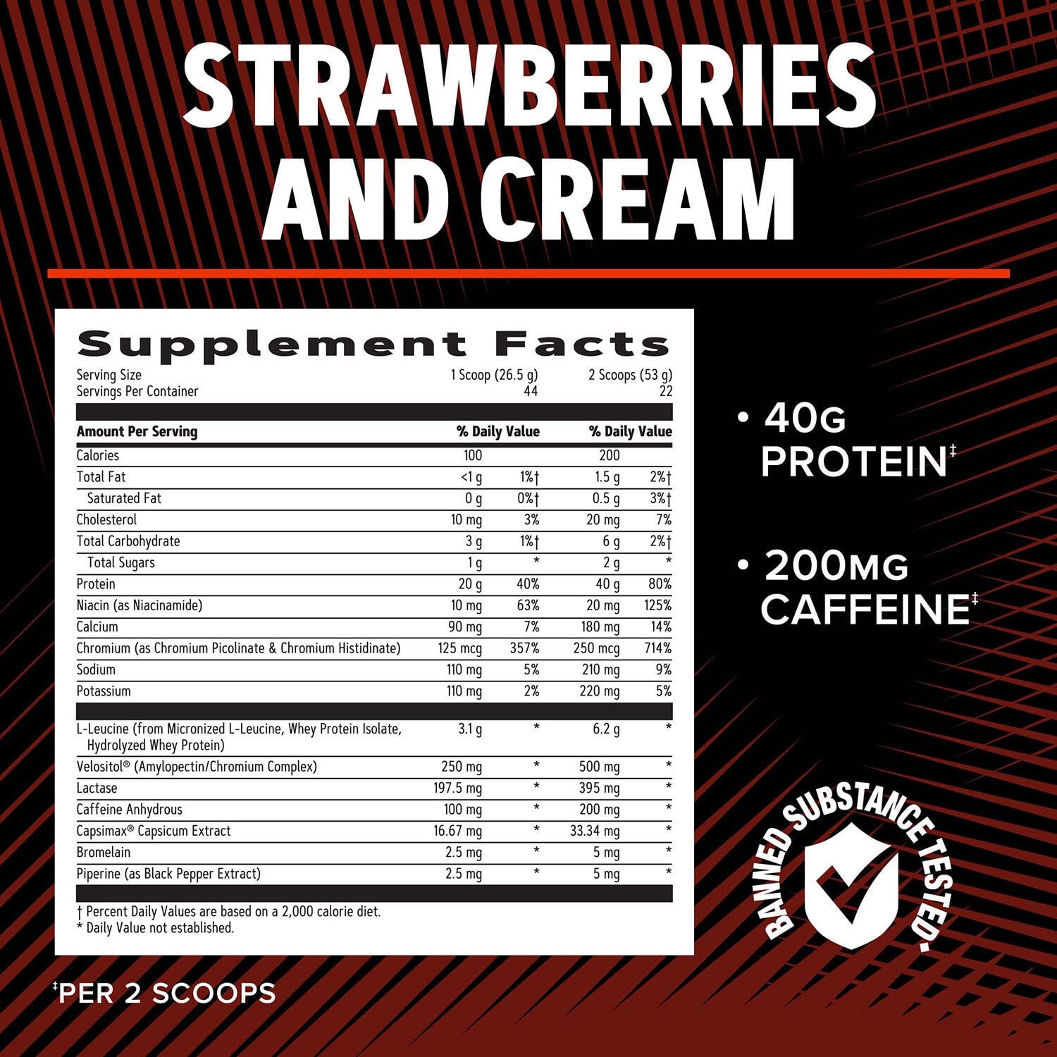 GNC AMP Wheybolic Ripped tub close-up on kitchen counter for everyday protein