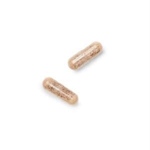 GNC Gentlesorb Iron vegetarian capsules, plant-based option for iron intake.