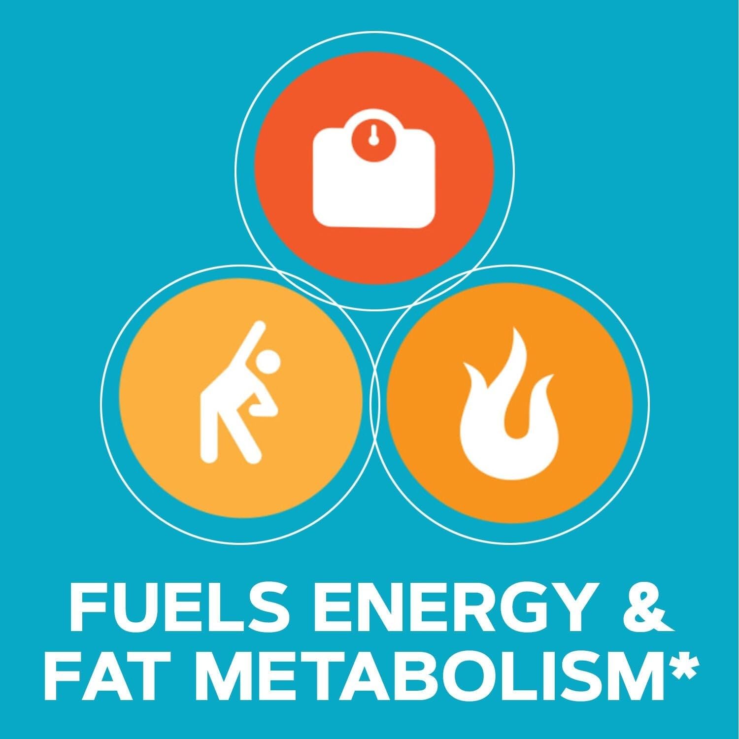GNC Total Lean CLA label closeup highlights ingredient details.