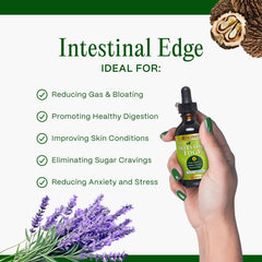 Go Nutrients Intestinal Edge herbal ingredients highlight wormwood and clove for natural support