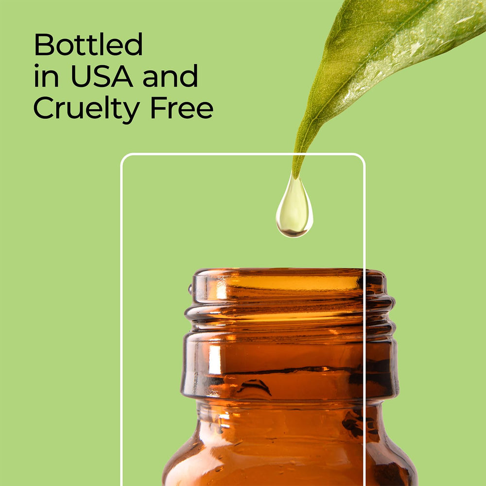 Good Essential Winter fragrance oil set for DIY crafts and home scents.