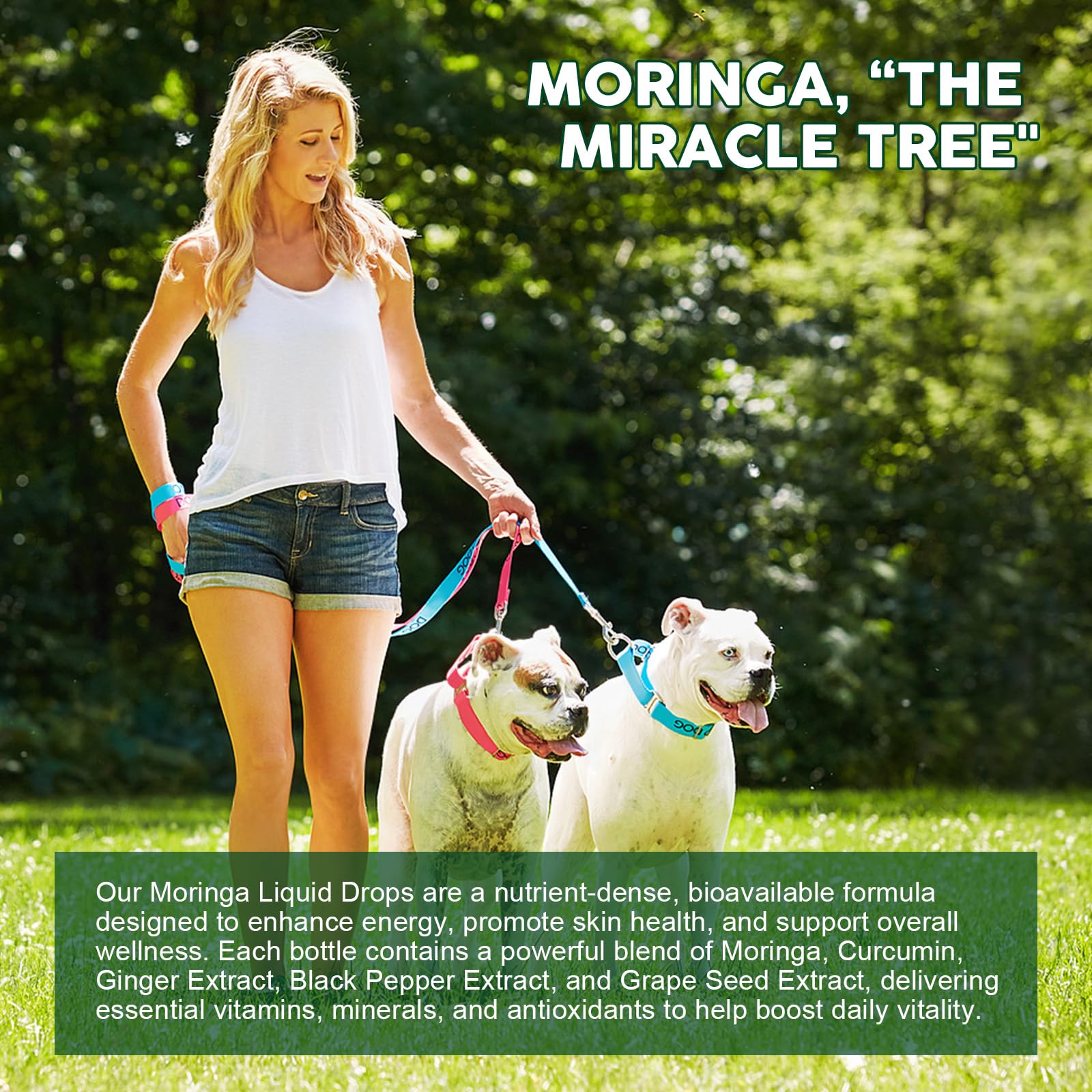 Two-pack presentation of GORNVB Moringa Liquid Drops for added value and convenience.