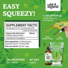Close-up of gotu kola liquid extract showing rich amber tincture texture.