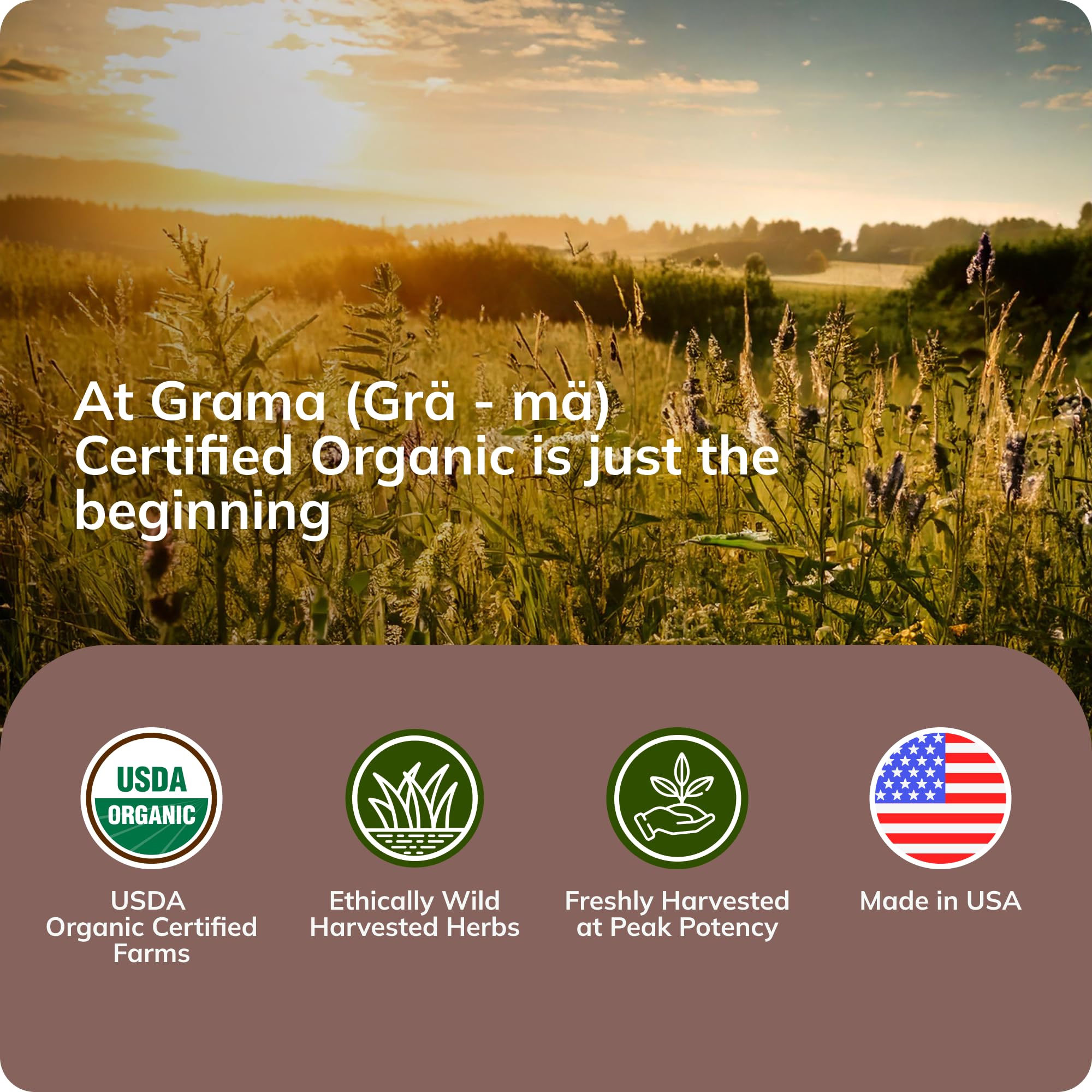 Grama Wellness calm morning routine conveys steady school-ready energy