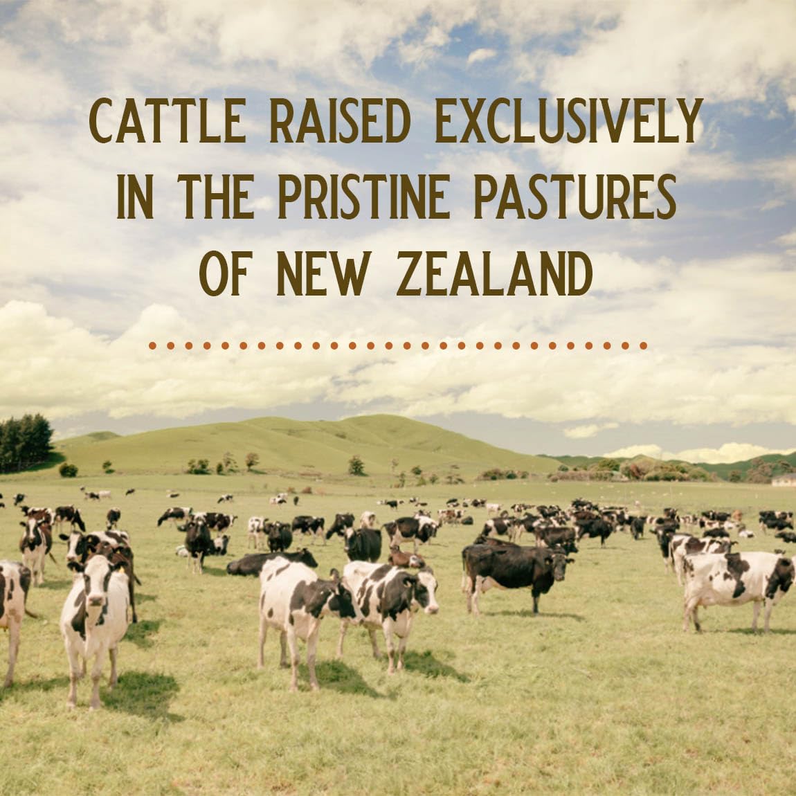 GRAZIN HEALTH label area showing nutrient-dense ingredients for daily wellness.