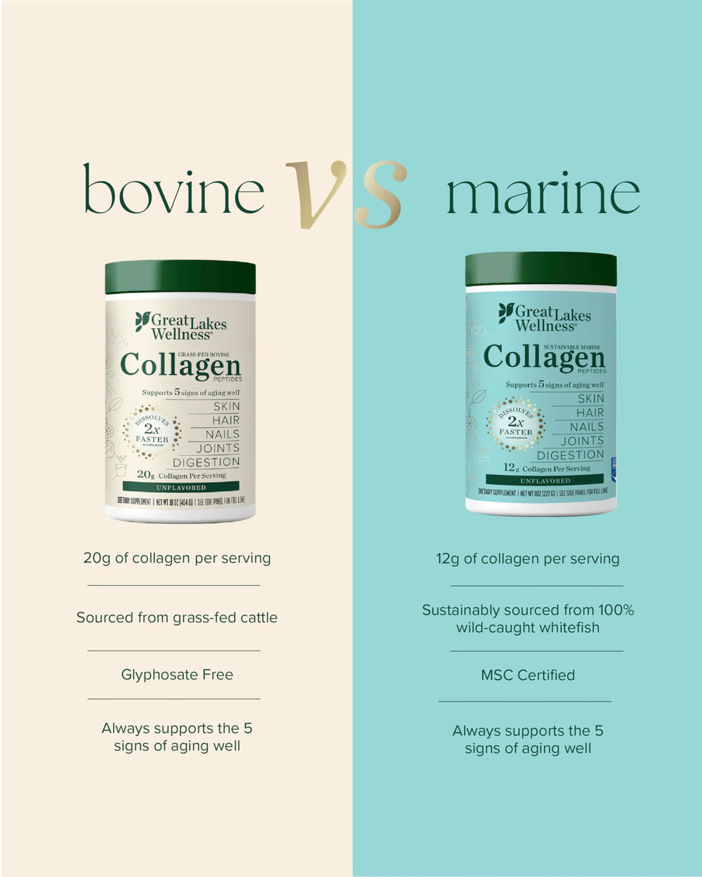 Great Lakes Wellness marine collagen powder dissolving in cold beverage with little taste
