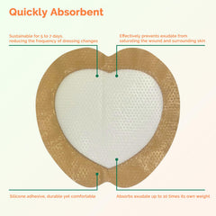 Greetmed Sacral Foam Border absorbing-foam image shows high absorbency capacity.