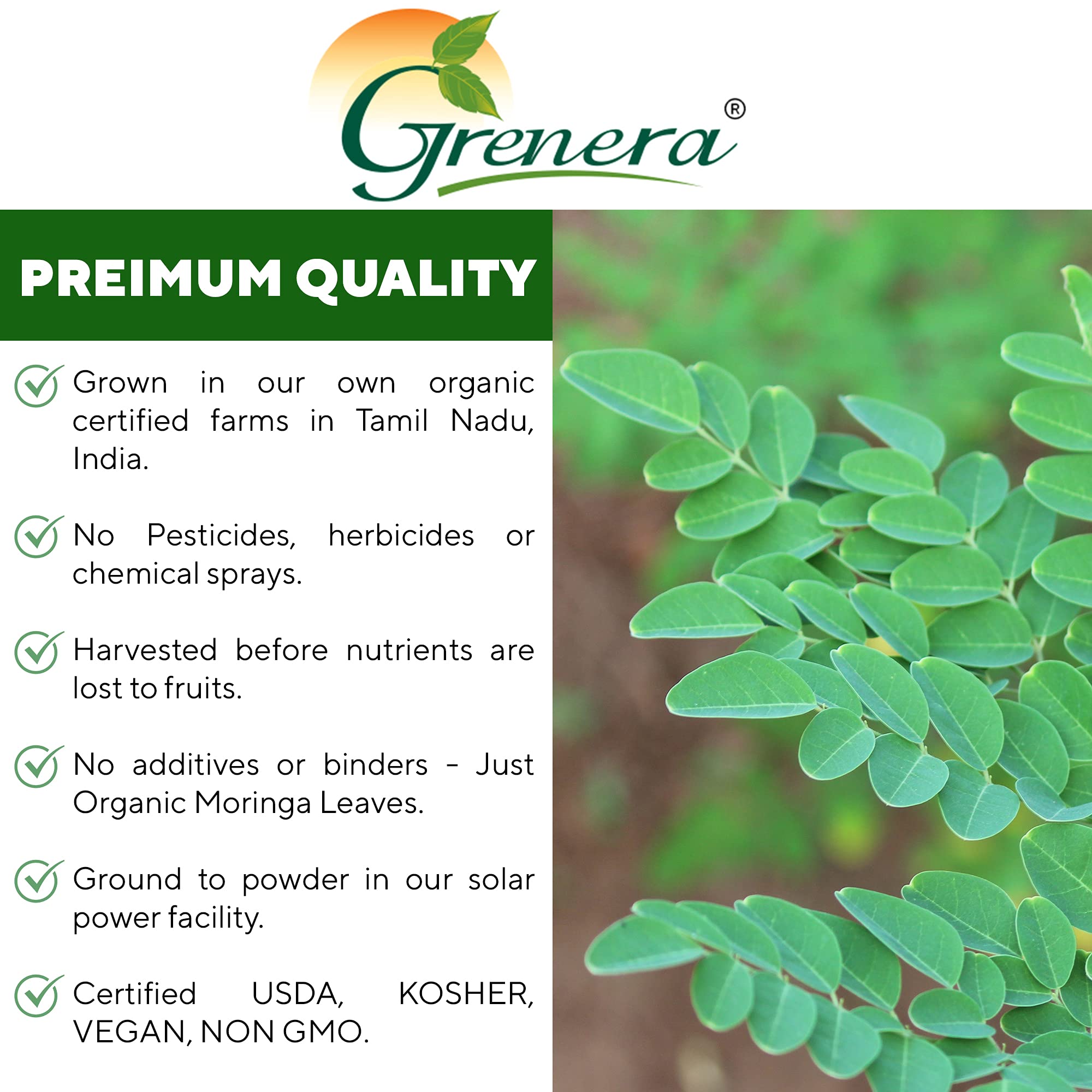 Grenera Organic Moringa Powder recipe bowl; ideal for recipes and baking enhancements.
