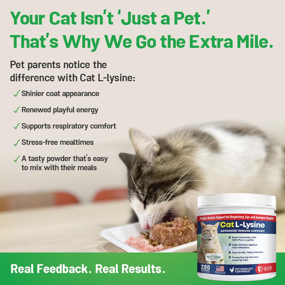 Guardian's Choice lysine powder supports respiratory comfort in cats.