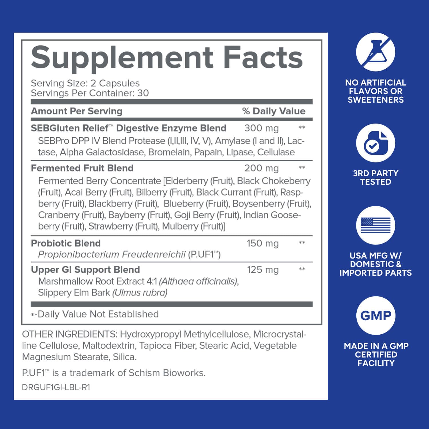 Digestive enzymes illustration showing improved nutrient absorption with GI Advantage.