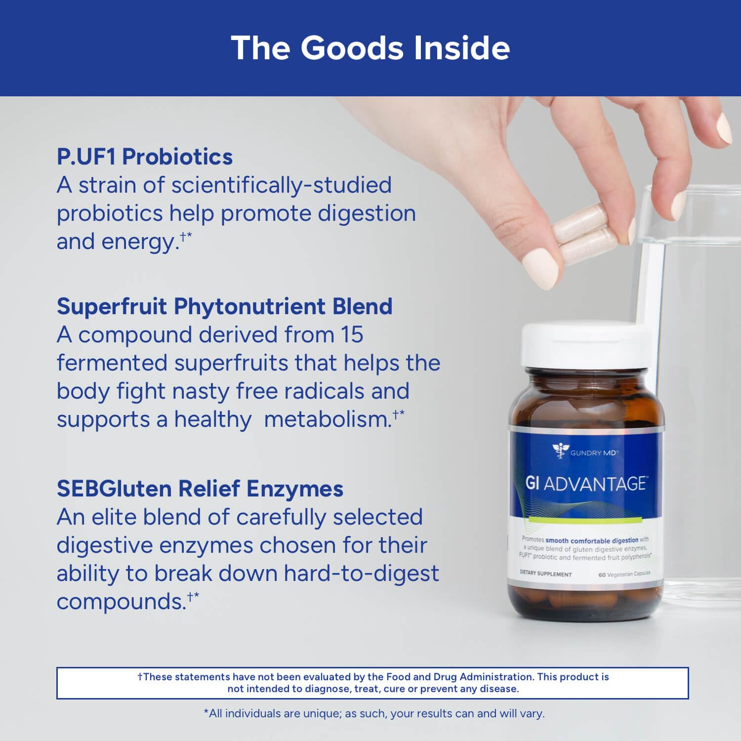 Gundry MD GI Advantage superfruits illustration emphasizing antioxidant-rich ingredients.
