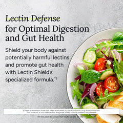 Gundry MD Lectin Shield visual shows gut lining protection.