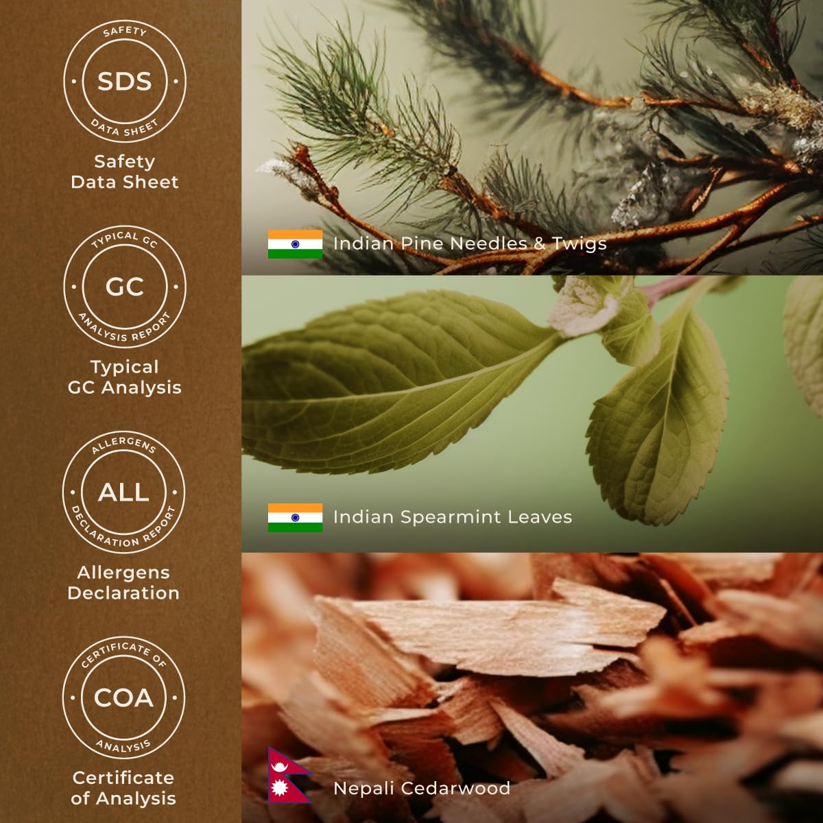 Gya Labs Christmas Tree Blend packaging highlights gift-ready presentation