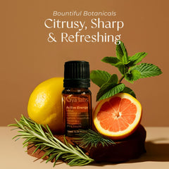 Gya Labs Active Energy ingredients and notes blend peppermint, pine and citrus tones.
