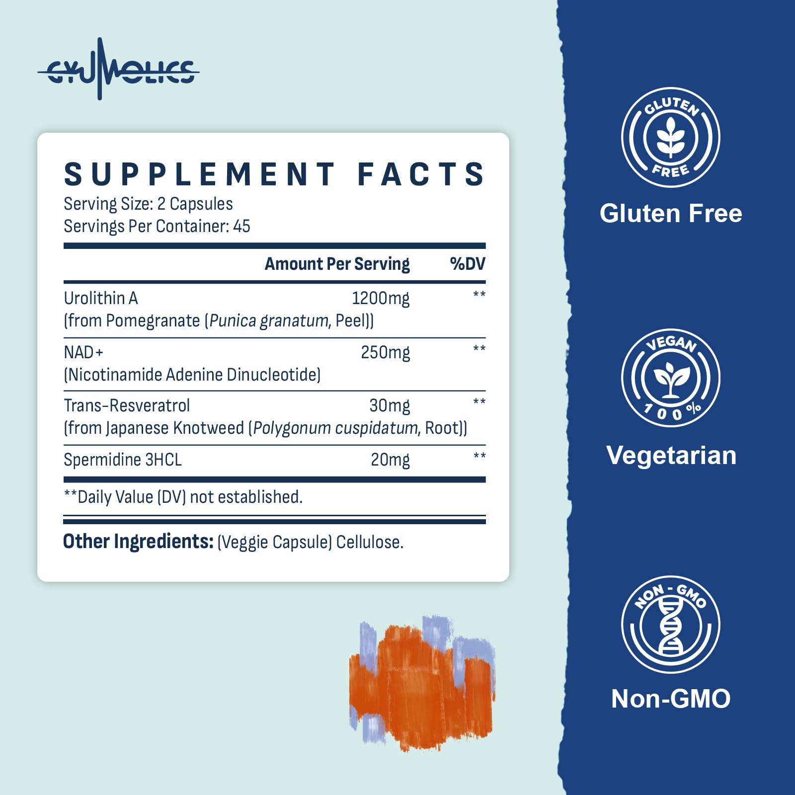 Gyumolics ingredients graphic features NAD+, resveratrol and spermidine synergy.