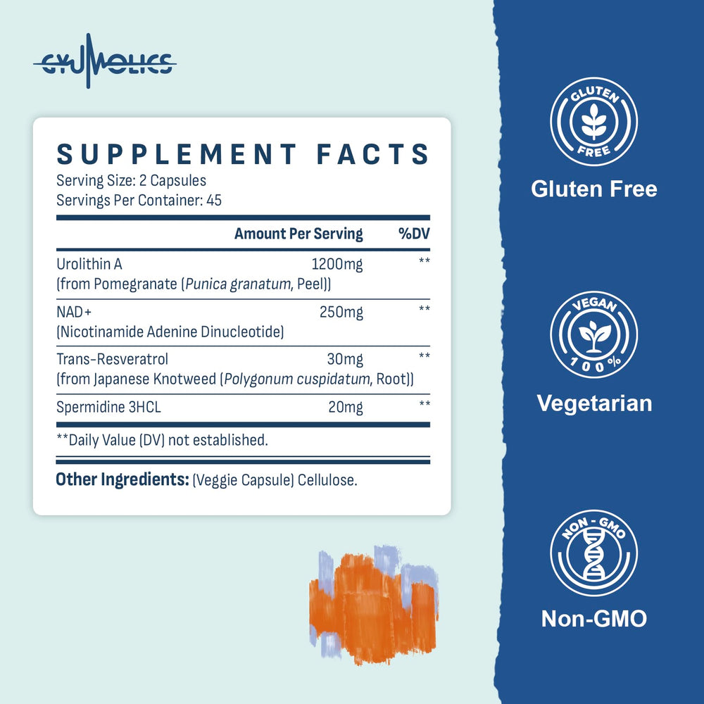 Gyumolics ingredients graphic features NAD+, resveratrol and spermidine synergy.