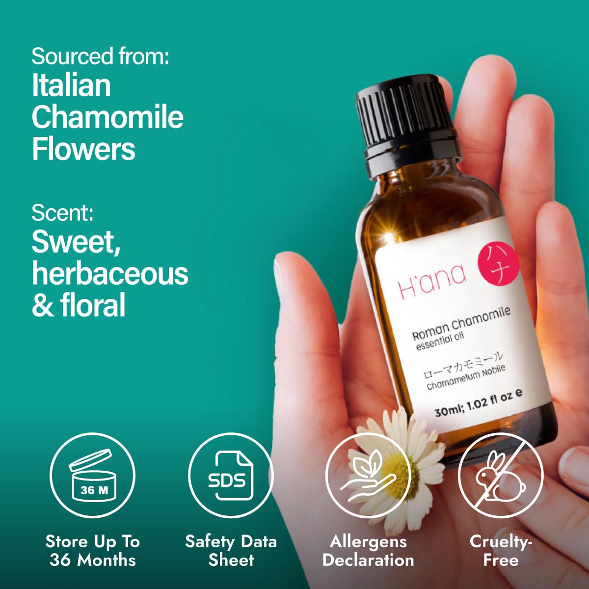 H'ana Roman chamomile oil packaging and calming display.