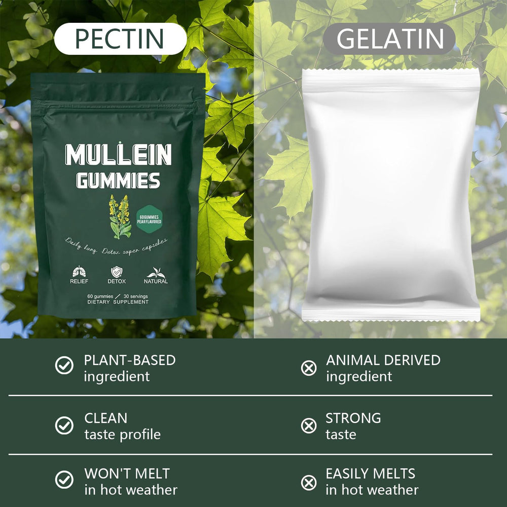 Hanachi Mullein Gummies ingredients label showing vegan and GMO-free formula.