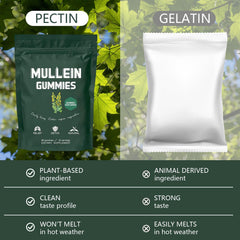 Hanachi Mullein Gummies ingredients label showing vegan and GMO-free formula.