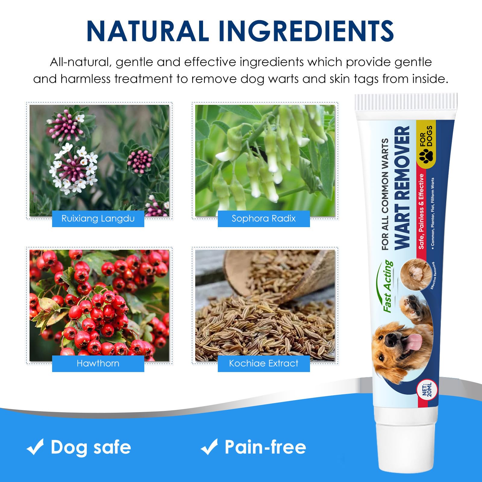 HANASCAR long-lasting results hint at healthier skin with continued use.
