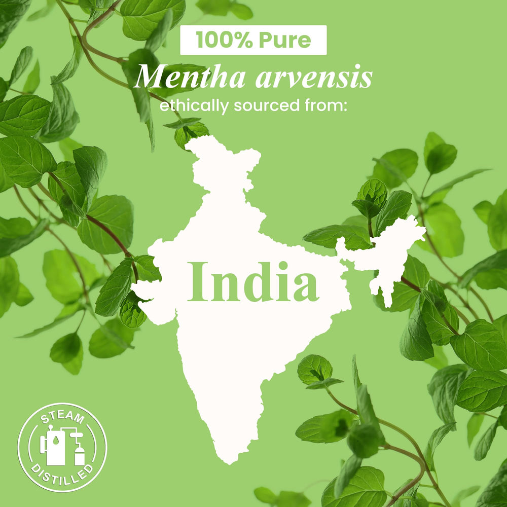 Handcraft Blends Aceite de Menta para aromaterapia en difusor y relajación