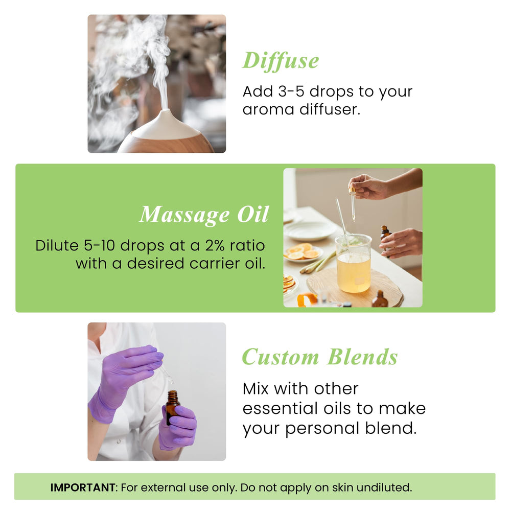 Handcraft Blends Aceite de Menta para mezclar con otros aceites esenciales