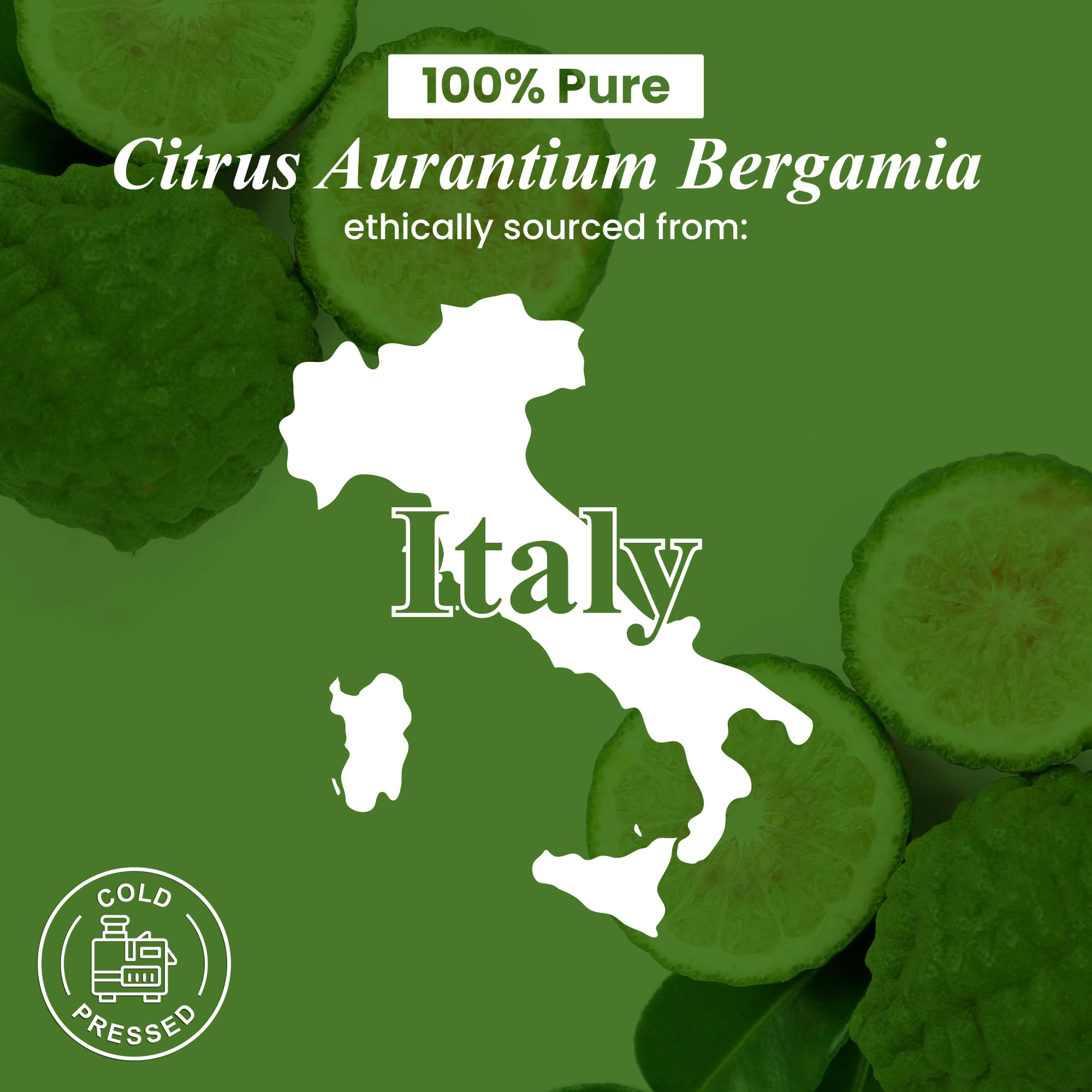 Handcraft Blends bergamot oil for candle and soap making projects.