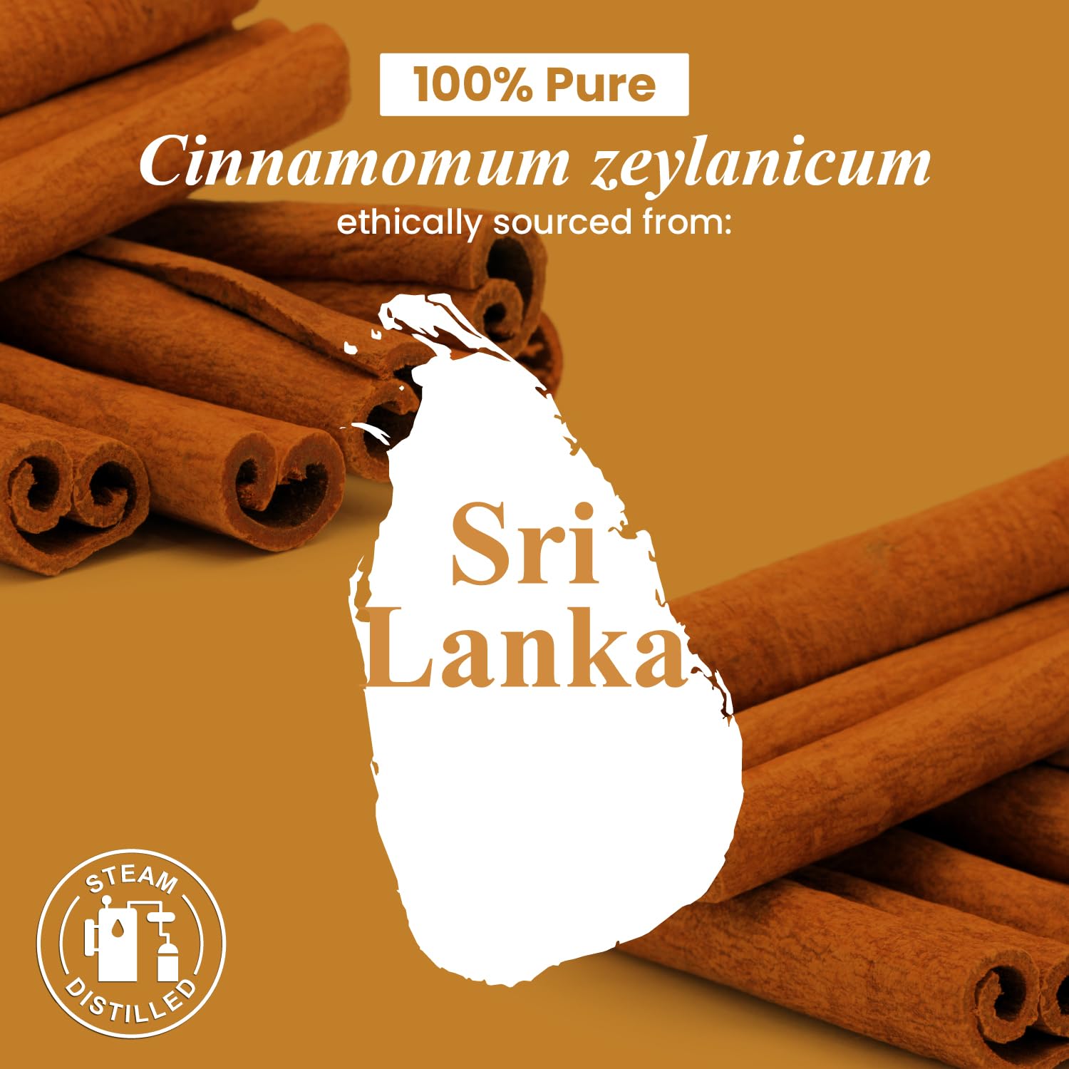 Handcraft Blends cinnamon oil suitable for soap and candle making