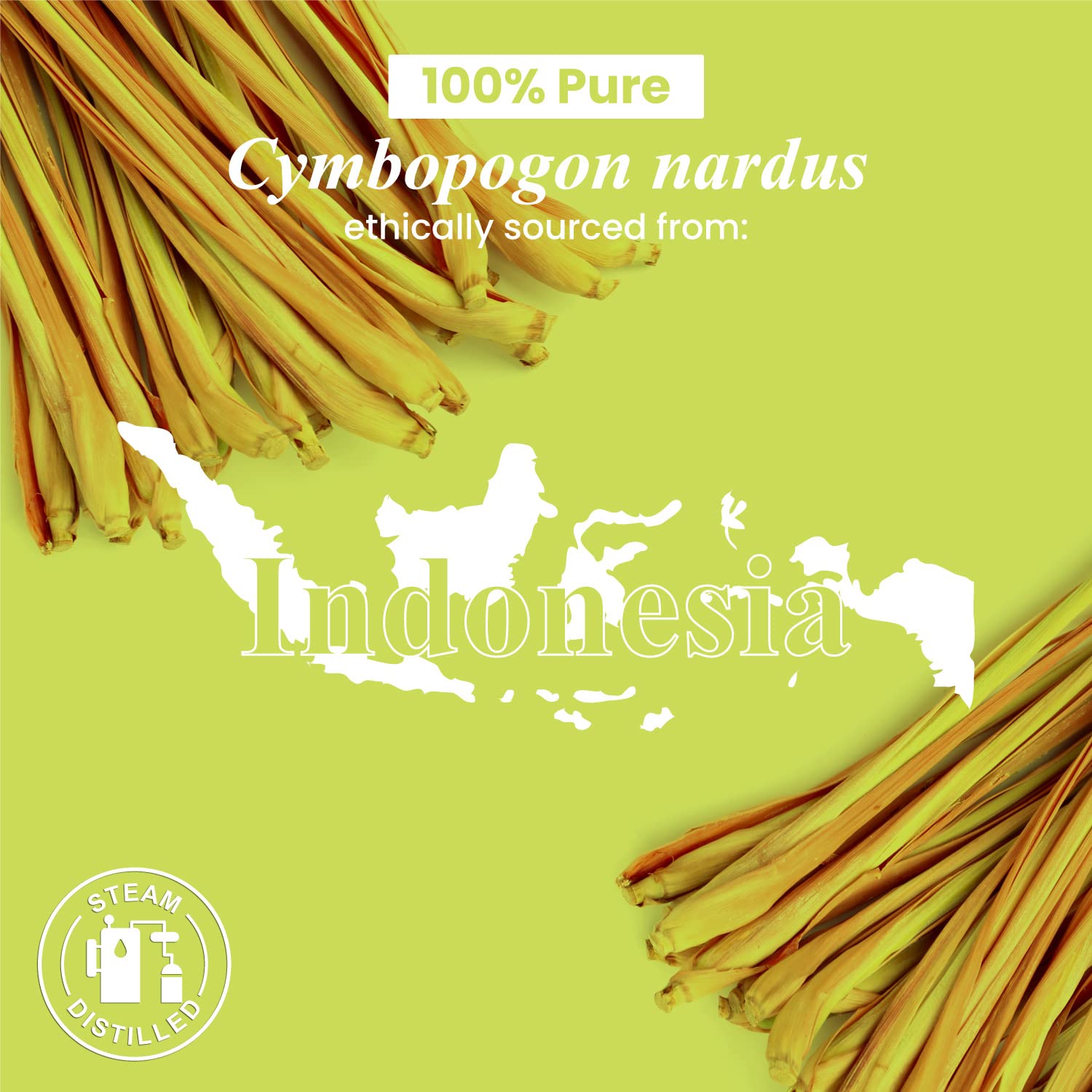 Handcraft Blends citronella oil bottled in the USA from diverse regions.
