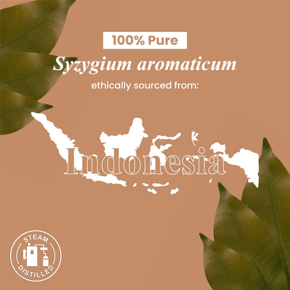 Premium US-sourced clove oil for refined aromatherapy projects.