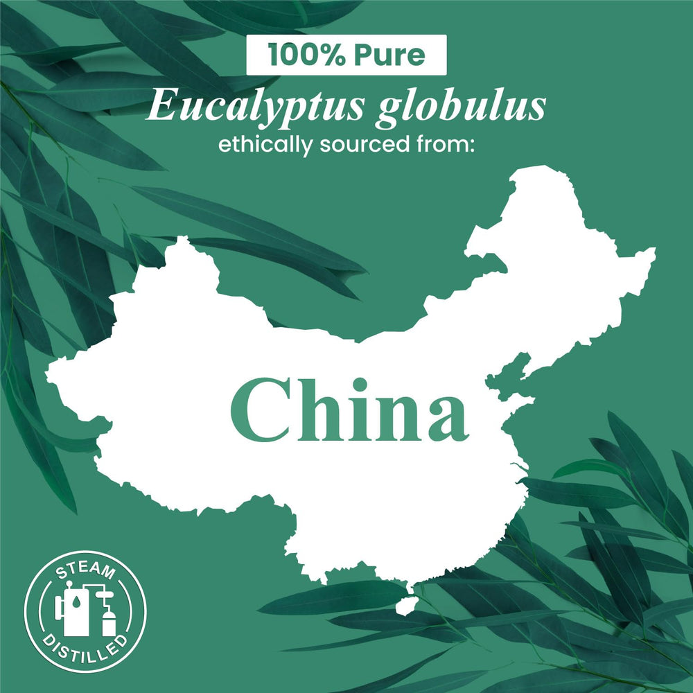 Envasado en Estados Unidos para Handcraft Blends Eucalipto.