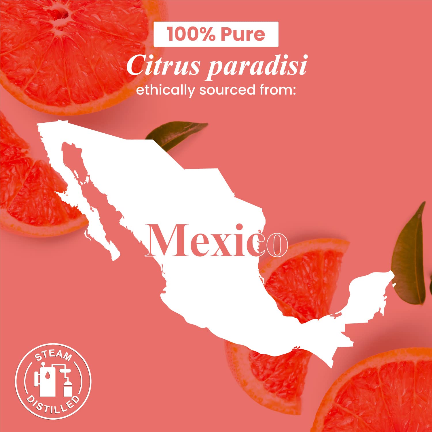 Handcraft Blends grapefruit essential oil bottled in the USA for consistent quality.