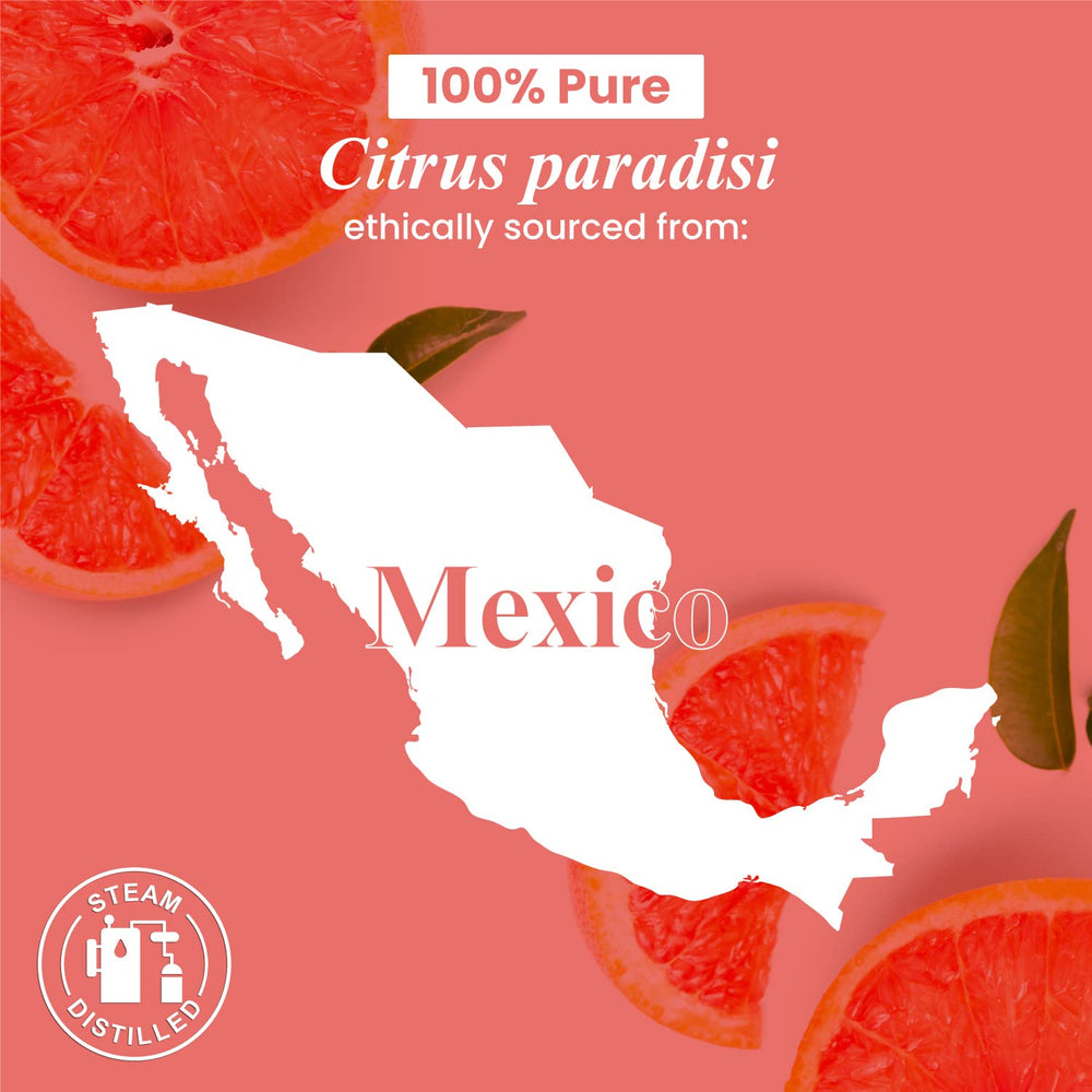 Handcraft Blends grapefruit essential oil bottled in the USA for consistent quality.