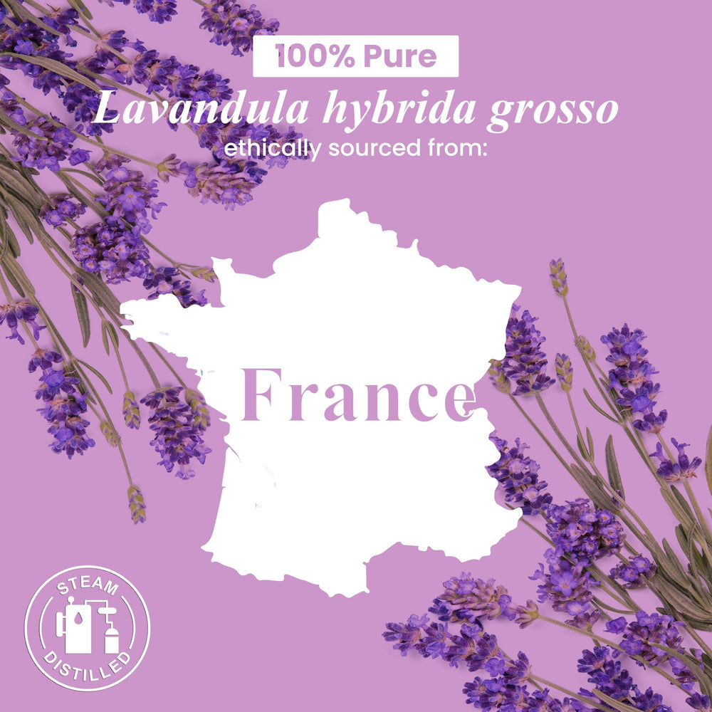 Handcraft Blends Lavender oil bottled in USA for premium quality.