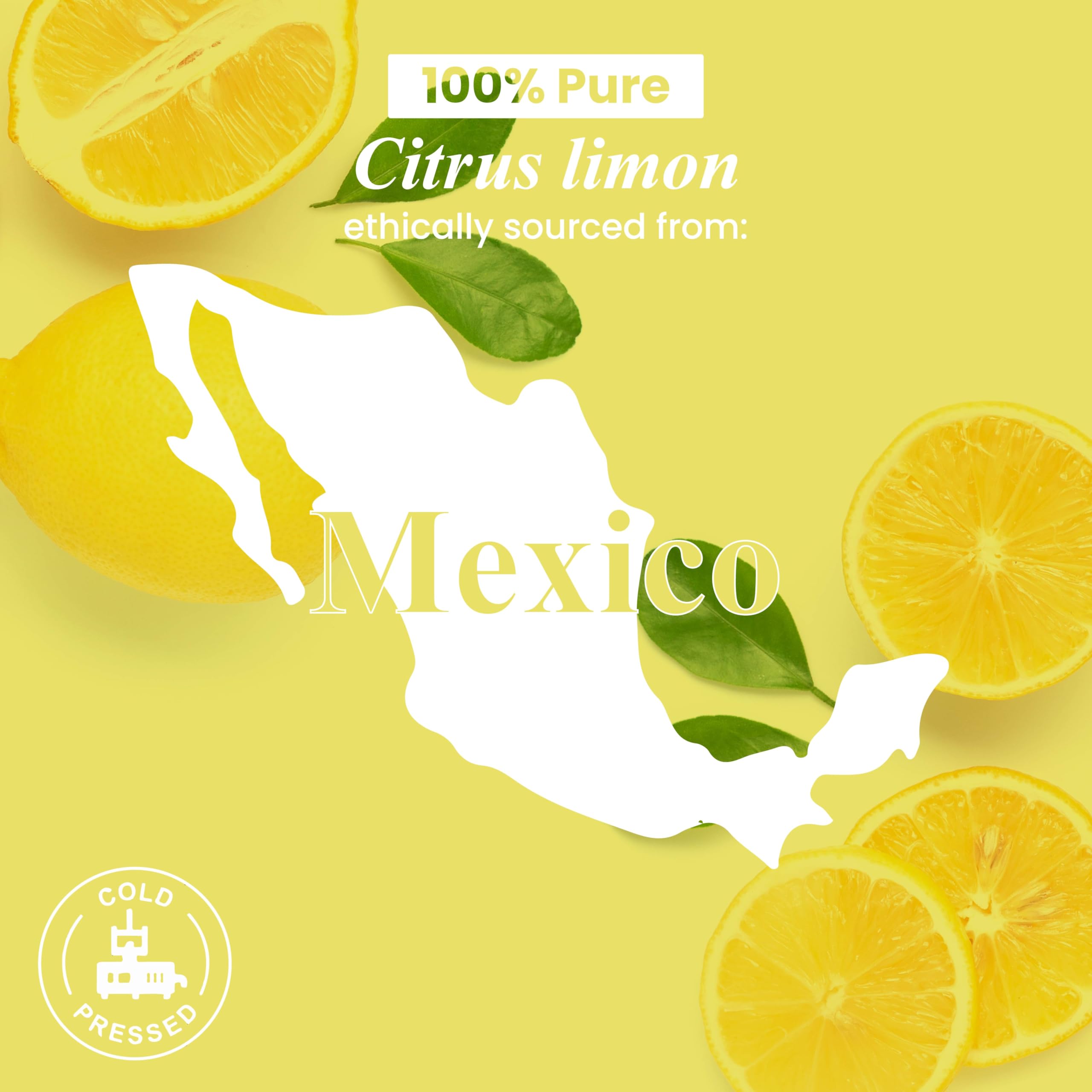 Handcraft Blends Lemon Essential Oil bottled in the USA from premium regions.