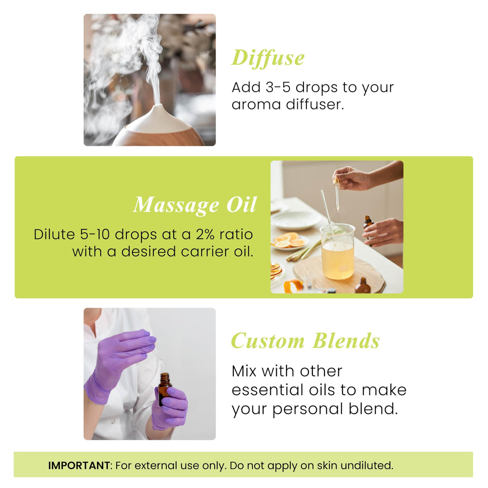 Handcraft Blends lime essential oil for candle fragrance and homemade cosmetics.